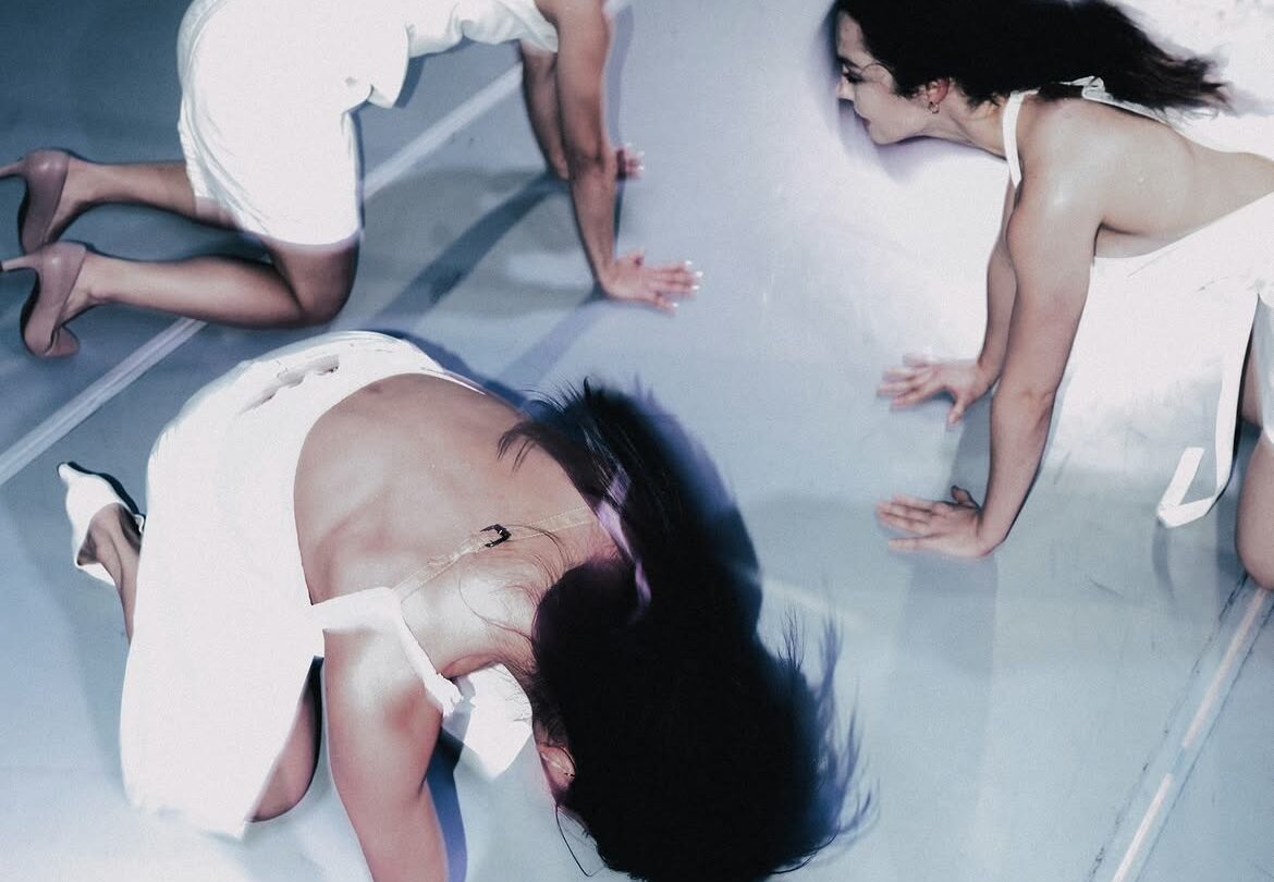 Ann Van den Broek